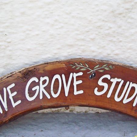 Olive Grove Studios Megali Ammos  Zewnętrze zdjęcie